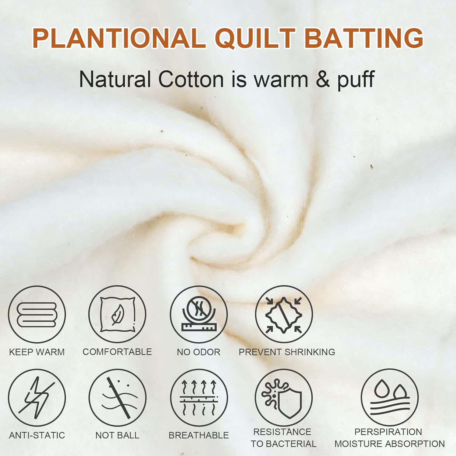 71г6Y4Al-PL._AC_SL1500_